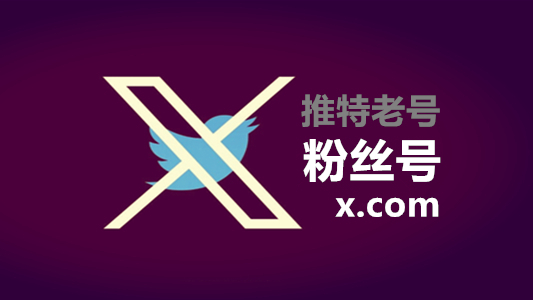 2023年带2FA粉丝500左右的推特老账号